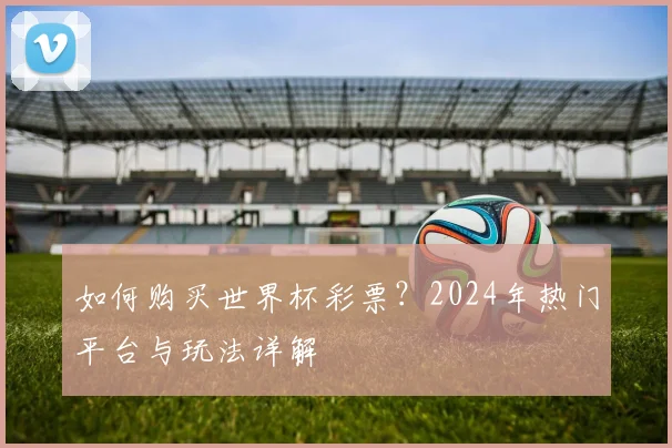 如何购买世界杯彩票？2024年热门平台与玩法详解